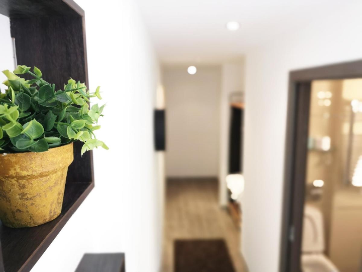 The Evergreen Nest - Silver Mountain Poiana Brasov Exterior photo